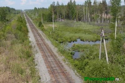 154.jpg