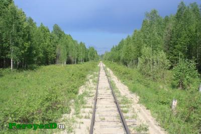 156.jpg