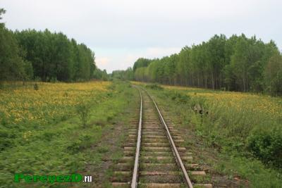 167.jpg
