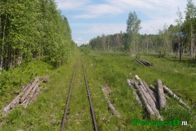 206.jpg