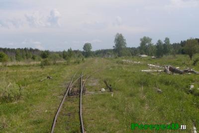 207.jpg