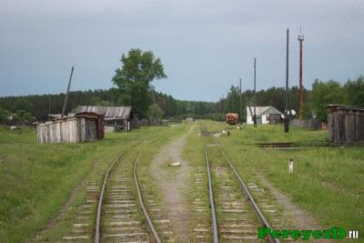 219.jpg