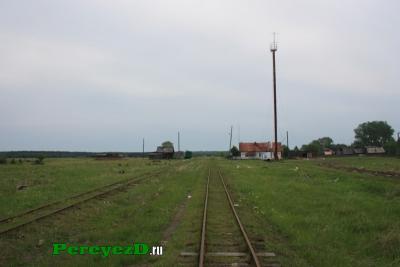 302.jpg