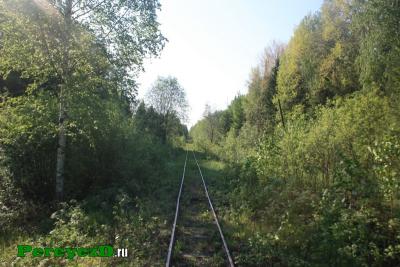 353.jpg