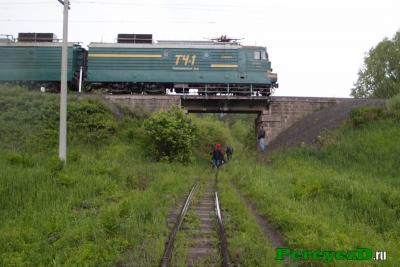 377.jpg