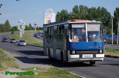 53.jpg