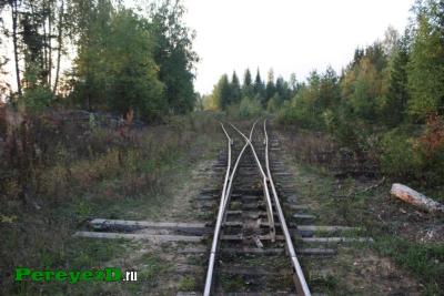 129.jpg