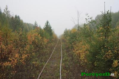 137.jpg