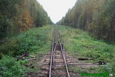 63.jpg