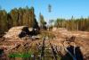 Нажми для просмотра 078_t1.jpg