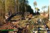 Нажми для просмотра 079_t1.jpg
