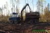 Нажми для просмотра 080_t1.jpg