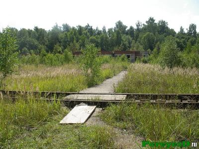 07.jpg