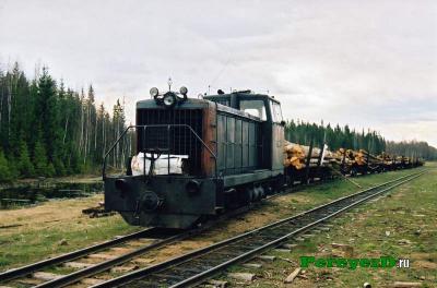 photo_4.jpg