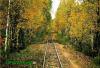 Нажми для просмотра photo_795_t1.jpg
