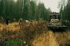 Нажми для просмотра photo_840_t1.jpg