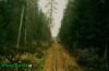 Нажми для просмотра photo_841_t1.jpg