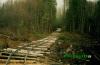Нажми для просмотра photo_866_t1.jpg