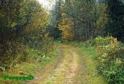 photo_967.jpg