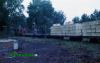 Нажми для просмотра photo_998_t1.jpg