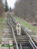 Нажми для просмотра photo_1236_t1.jpg