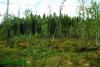 Нажми для просмотра photo_2009_t1.jpg