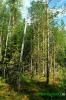 Нажми для просмотра photo_2011_t1.jpg