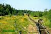 Нажми для просмотра photo_2362_t1.jpg