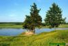 Нажми для просмотра photo_2396_t1.jpg