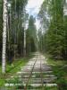 Нажми для просмотра photo_2401_t1.jpg