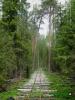 Нажми для просмотра photo_2450_t1.jpg