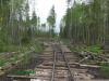 Нажми для просмотра photo_2454_t1.jpg