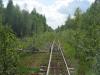 Нажми для просмотра photo_2537_t1.jpg