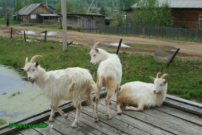 photo_2565.jpg