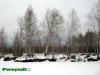 Нажми для просмотра photo_2667_t1.jpg