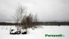 Нажми для просмотра photo_2668_t1.jpg