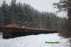 Нажми для просмотра photo_2720_t1.jpg