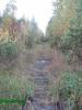 photo_2887_t1.jpg