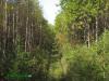 Нажми для просмотра photo_2941_t1.jpg