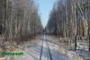 Нажми для просмотра photo_3162_t1.jpg