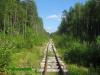 Нажми для просмотра photo_3218_t1.jpg