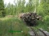 Нажми для просмотра photo_3247_t1.jpg