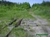 Нажми для просмотра photo_3541_t1.jpg