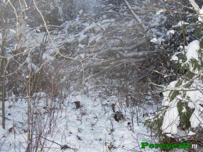 dscn2768.jpg